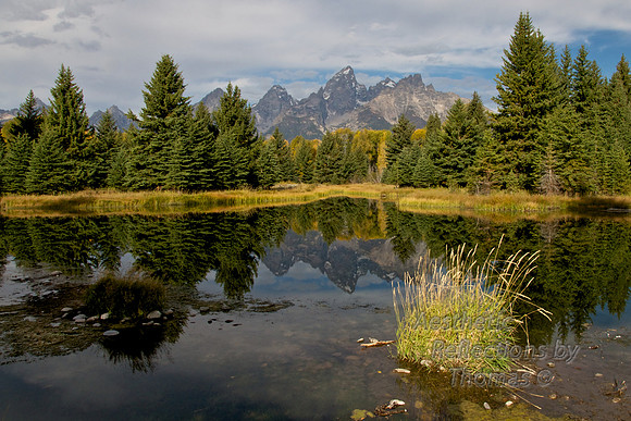 Schwabacher Landing in Teton Nat. Park