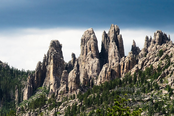 Custer Nat. Park; Black Hills; S. Dakota