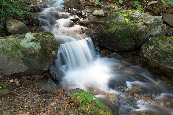 Hot Springs, Arkansas Stream