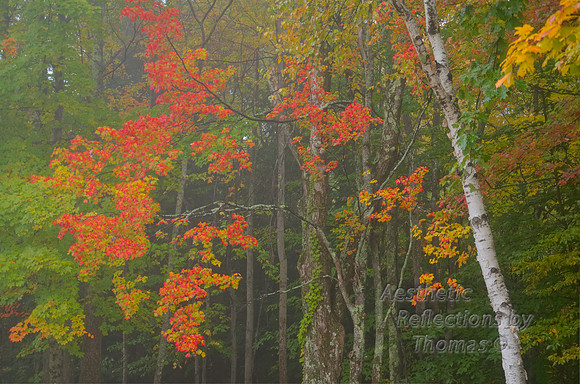 New England in the fall