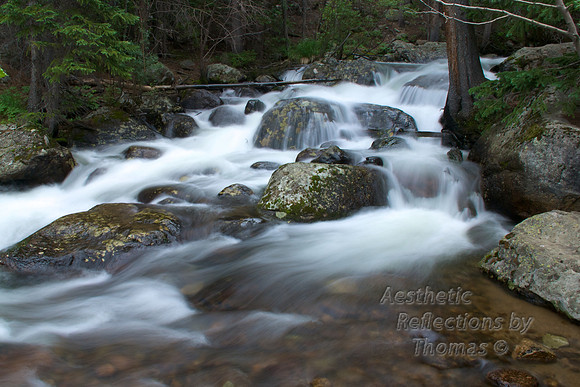 Rocky Mountain National Park Stream