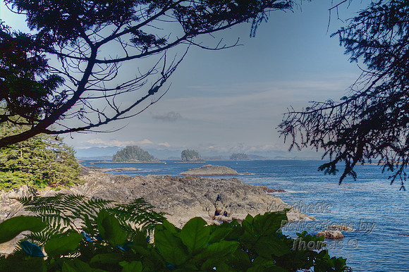 Vancouver Island, B.C.