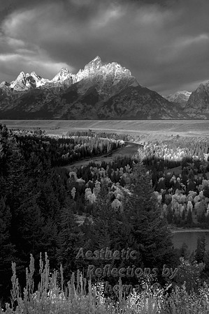 Snake River Overlook
