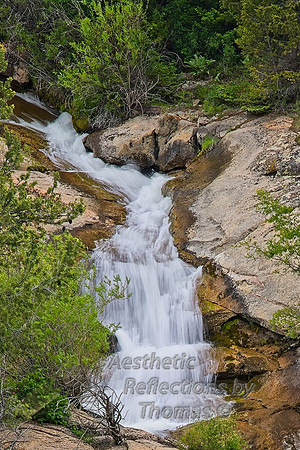 _Z633634