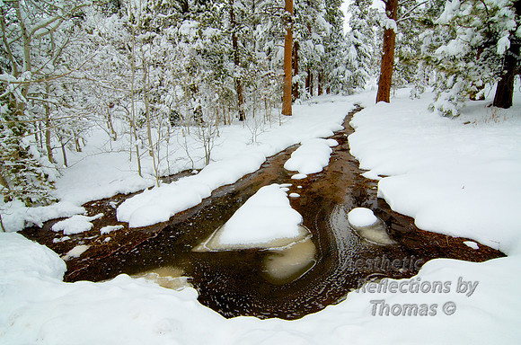 Road to Big Elk Ranch; Allens Park, Colorado 0009