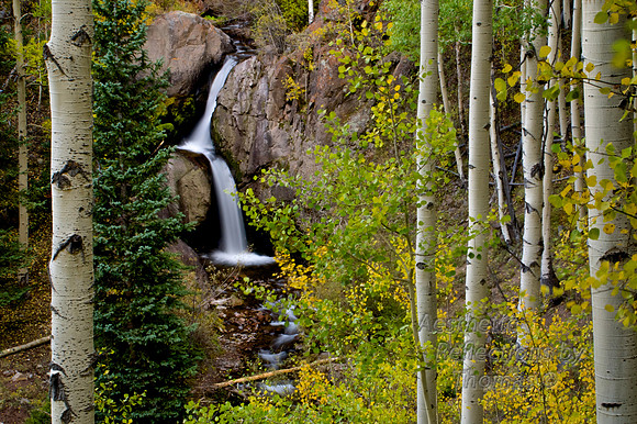 Nellie Creek near Lake City, Colorado