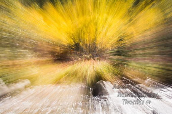 Fall Movement