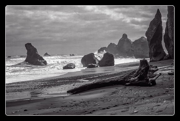 Oregon Coast