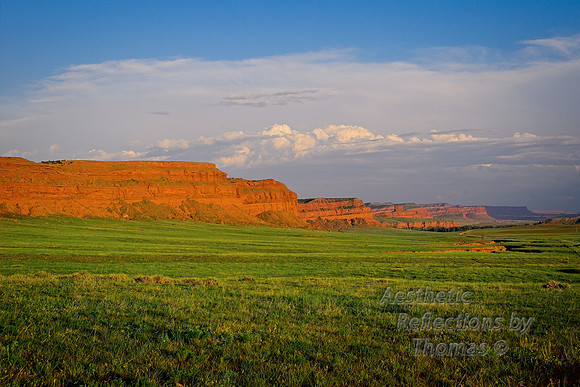 DSC_3831_HDR
