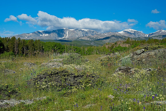 Cloud Peak Wilderness in the Big Horn Mountains of Wyo.
