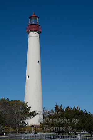 DSC_7858