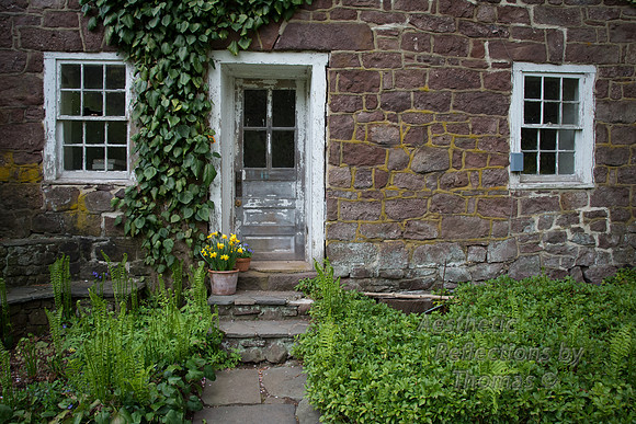DSC_9009