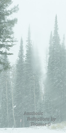 Winter in the Tetons