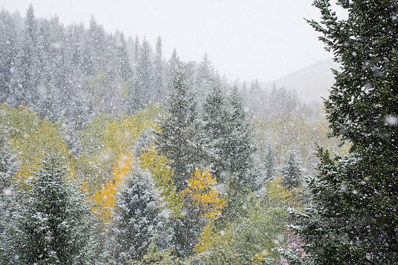 Winter in the Tetons