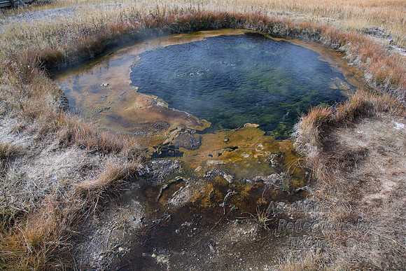 Yellowstone Nat. Park