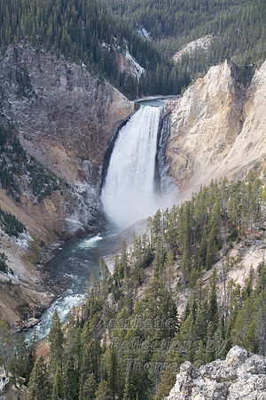 Lower Falls; Yellowstone National Park; Wyoming