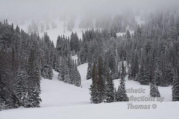 Togwotee Pass (between Dubois and Jackson, Wyo)