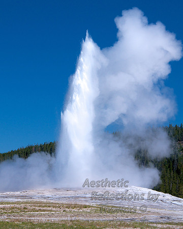 DSC_0245 - Version 6