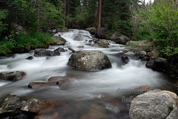 DSC_0297 (1)