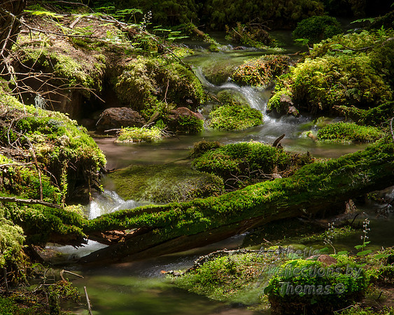 Glacier National Park_ 013
