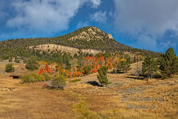 Sunlight Basin, Wyoming