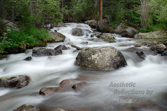 Rocky Mountain National Park Stream