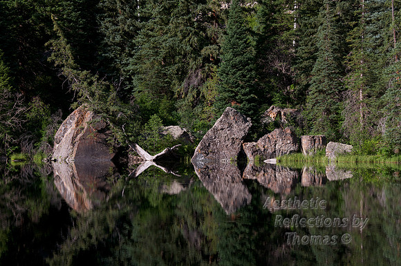 Lake Reflections 017