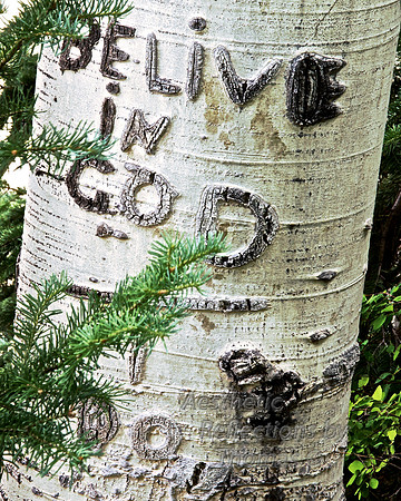 Believe