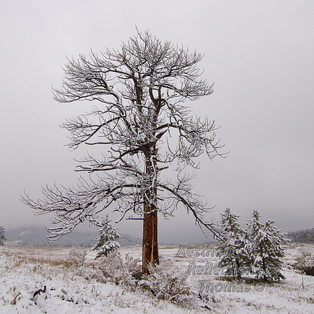 Fall Time in the Colorado Rockies 2013