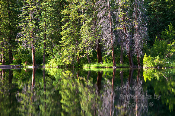 Lake Reflections 018