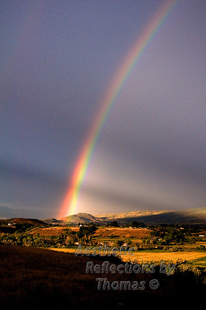 Rainbow 001