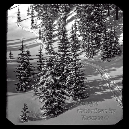 Coal Creed Pass - Durango, Colorado