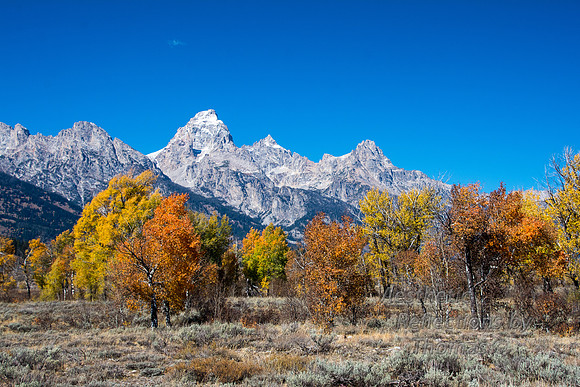 Tetons: Road to The Episcopal Chapel of the Transfiguration