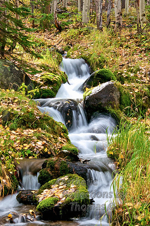 Boulder Creek in Rocky Mountain National Park