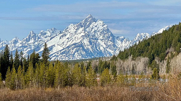 Winter in the Tetons