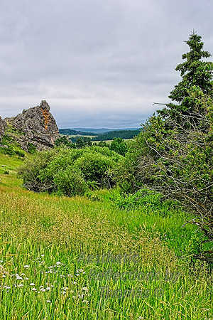 Big Horn Mtns,  Wyoming