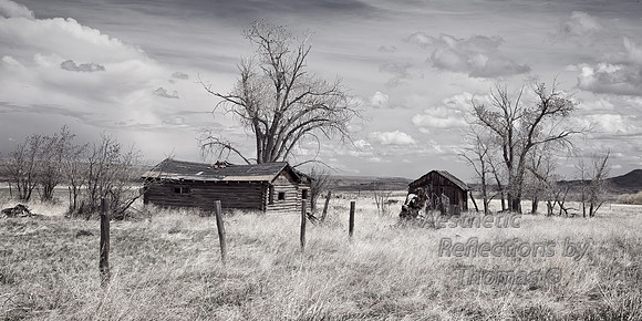 Wyoming cabins