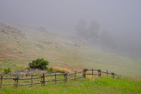 Big Horn Mtns,  Wyoming