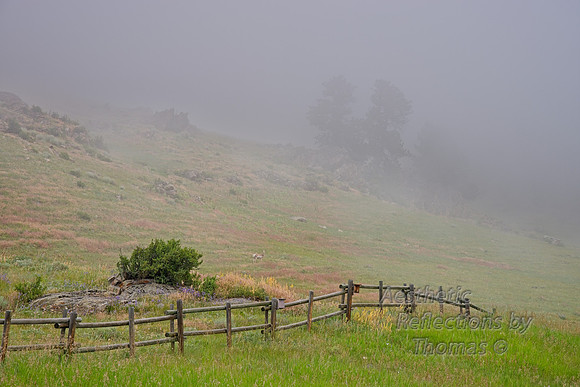 Big Horn Mtns,  Wyoming