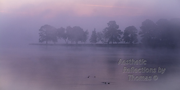 Lake Hamilton; Hot Springs, Arkansas