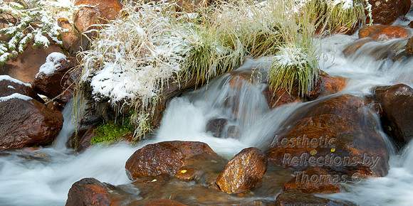 Spring Time in the Colorado Rockies