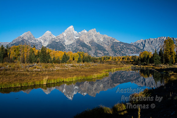 Schwabacher Landing in Teton Nat. Park