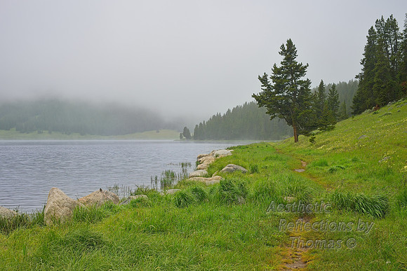 Big Horn Mtns,  Wyoming