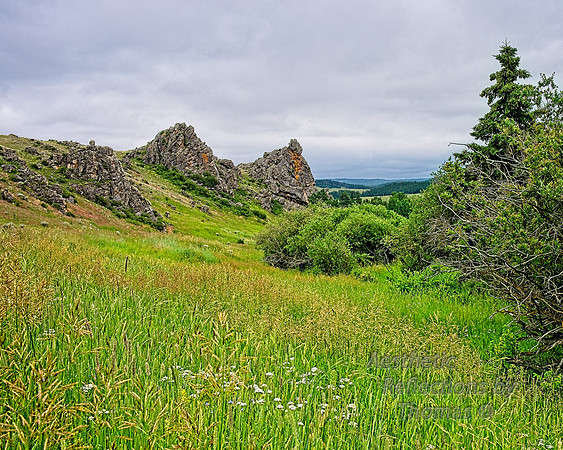 Big Horn Mtns,  Wyoming
