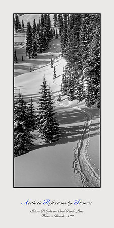 Red Mountain Pass;  Durango, Colorado (A.R.T.)