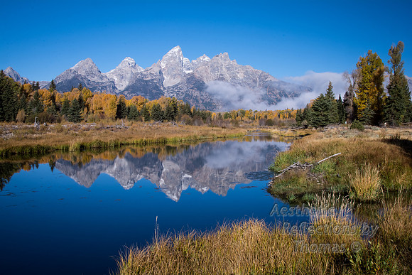 Schwabacher Landing in Teton Nat. Park