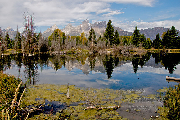 Schwabacher Landing in Teton Nat. Park