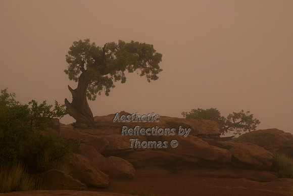Canyonlands 003