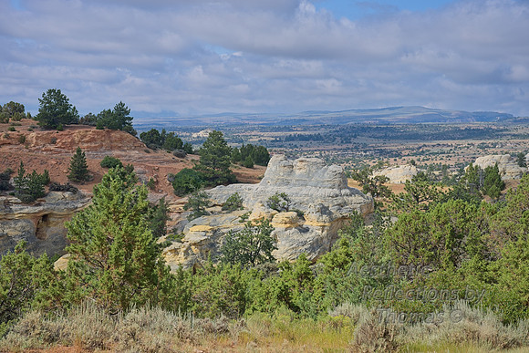Big Horn Mtns,  Wyoming